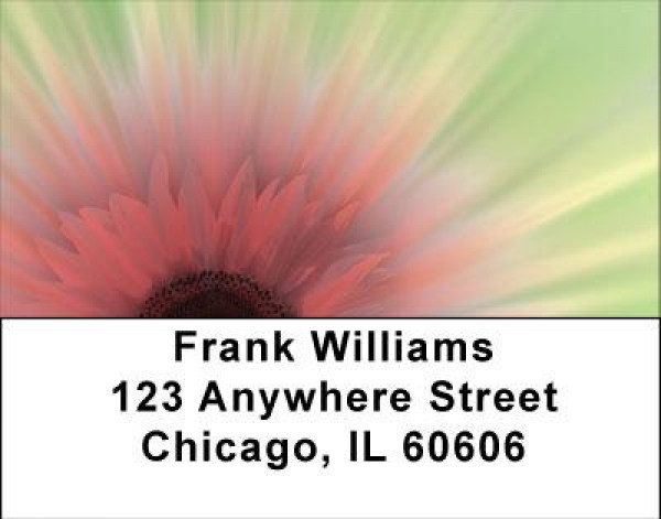 Pink Explosion Address Labels