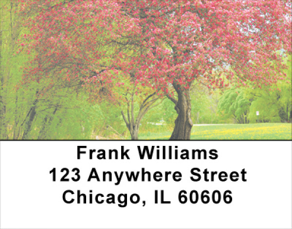 Trees In Springtime Address Labels