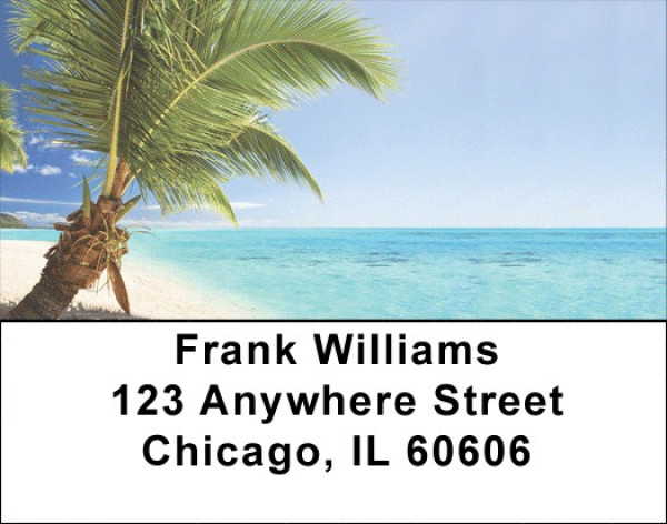 Palms in Paradise Labels