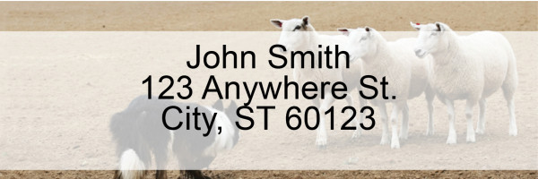 Border Collie at Work Rectangle Address Labels
