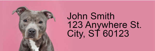 Bully Breed Love Address Labels