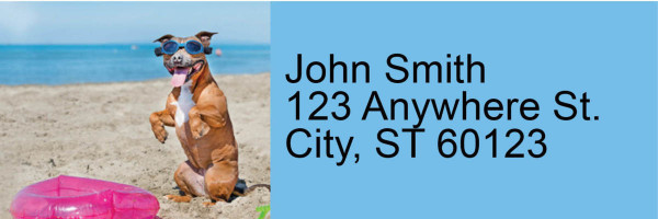 Beach Bullies Address Labels