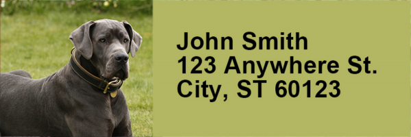 Great Danes Rectangle Address Labels