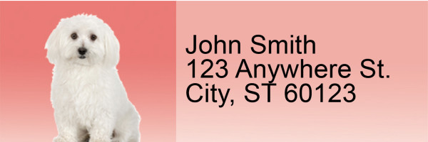 Adorable Bichons Address Labels