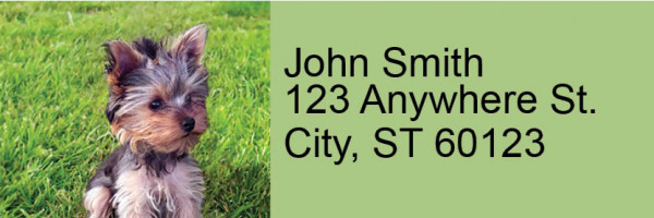 Yorkies Rectangle Address Labels