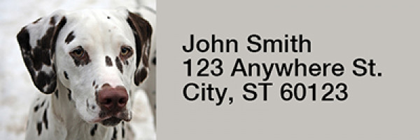 Dalmatians Rectangle Address Labels