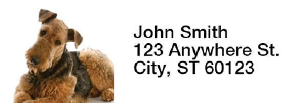 Airedale Terrier Rectangle Address Labels