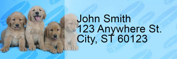 Golden Retriever Pups Keith Kimberlin Address Labels