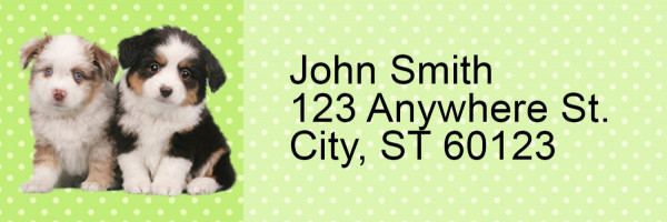 Australian Shepherd Pups Keith Kimberlin Address Labels