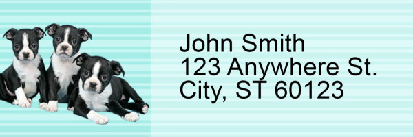 Boston Terrier Pups Keith Kimberlin Address Labels
