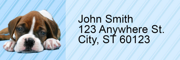 Boxer Pups Keith Kimberlin Address Labels