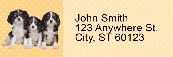Cavalier Pups Keith Kimberlin Address Labels