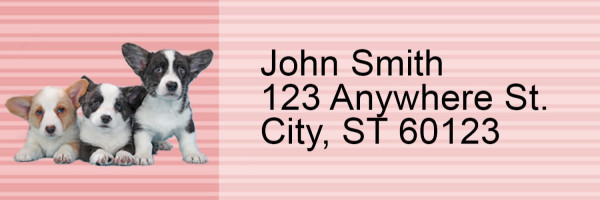 Corgi Pups Keith Kimberlin Address Labels