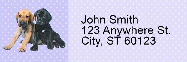 Great Dane Pups Keith Kimberlin Address Labels