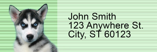 Husky Pups Keith Kimberlin Address Labels
