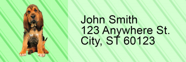 Bloodhound Pups Keith Kimberlin Address Labels
