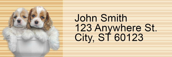 Cocker Spaniel Pups Keith Kimberlin Address Labels