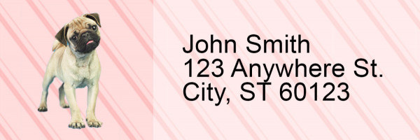 Pug Pups Keith Kimberlin Address Labels