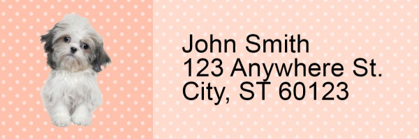 Shih Tzu Pups Keith Kimberlin Address Labels