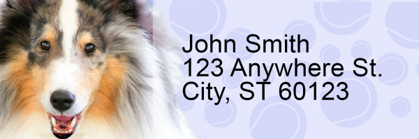 Collie Pups Keith Kimberlin Address Labels