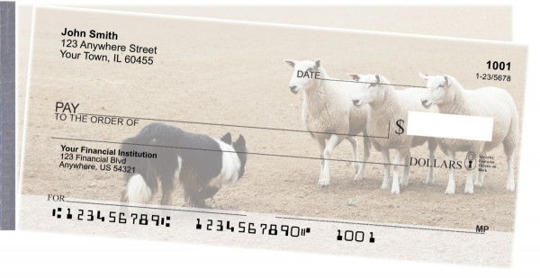 Border Collie at Work Side Tear Checks