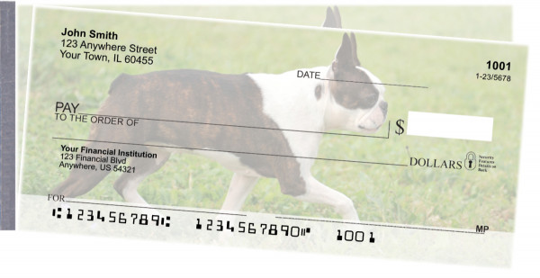 Boston Terrier Side Tear Checks