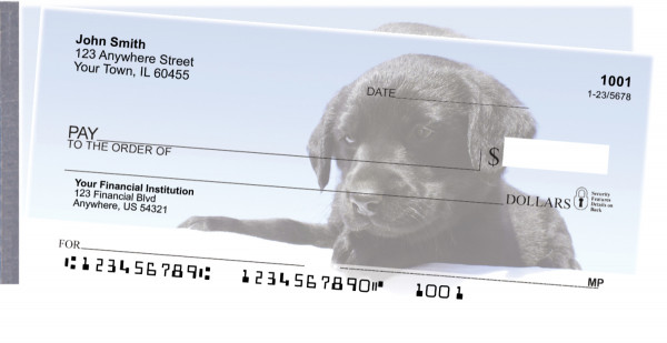Black Lab Puppies Side Tear Checks