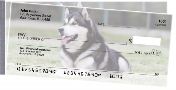 Alaskan Malamute Side Tear Checks