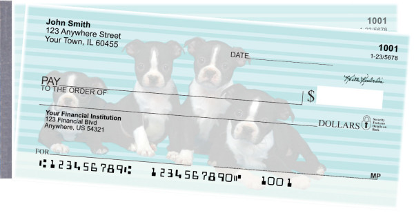 Boston Terrier Pups Keith Kimberlin Side Tear Checks