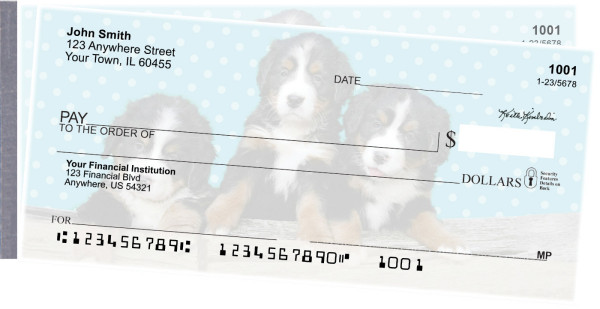 Bernese Mountain Dog Pups Keith Kimberlin Side Tear Checks