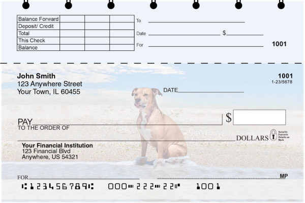 Beach Bullies Top Stub Checks