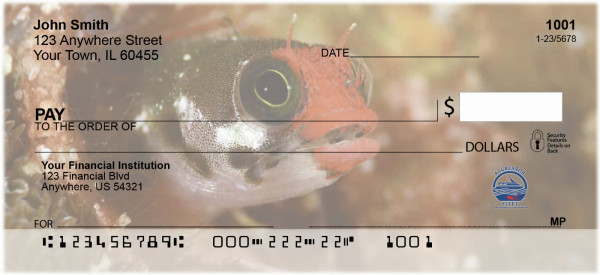 Assorted Fish by Aggressor Fleet Personal Checks