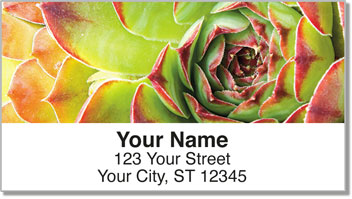 Natural Close Up Address Labels