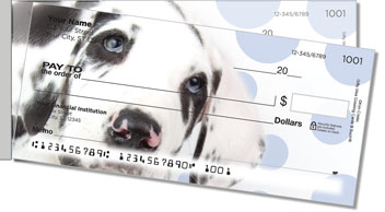 Great Dane Pup Side Tear Checks