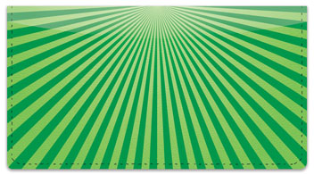 Green Starburst Checkbook Cover