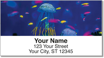Jellyfish Address Labels