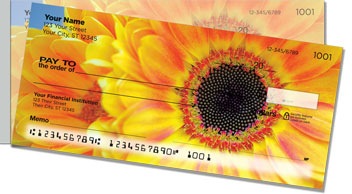 Gerber Daisy Side Tear Checks