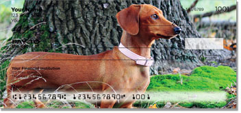 Dachshund Checks