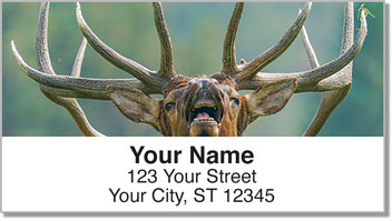 Elk Address Labels