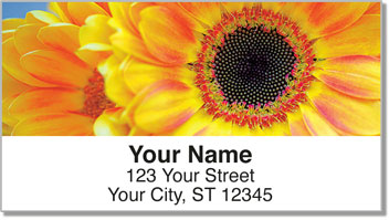 Gerber Daisy Address Labels