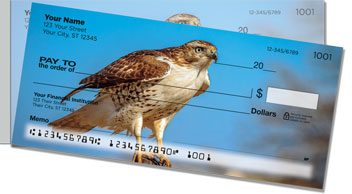 Red-Tailed Hawk Side Tear Checks