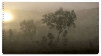Foggy Day Checkbook Cover
