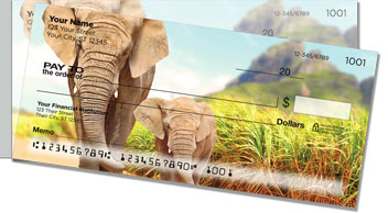 Elephant Side Tear Checks