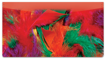 Flashy Feather Checkbook Cover