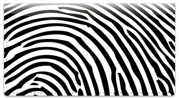 Fingerprint Checkbook Cover