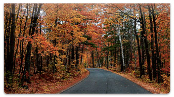 Fall Drive Checkbook Cover