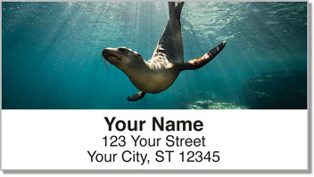 Sea Lion Address Labels