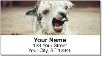 Zoo Animal Address Labels