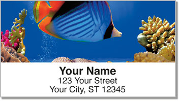 World of Fish Address Labels