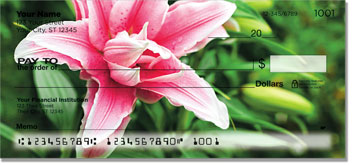 Lily Checks